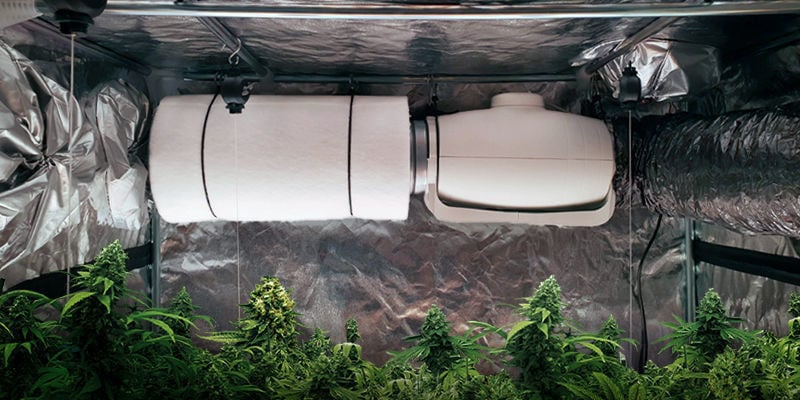 How To Use Carbon Filters To Control The Smell Of Cannabis Zamnesia USA